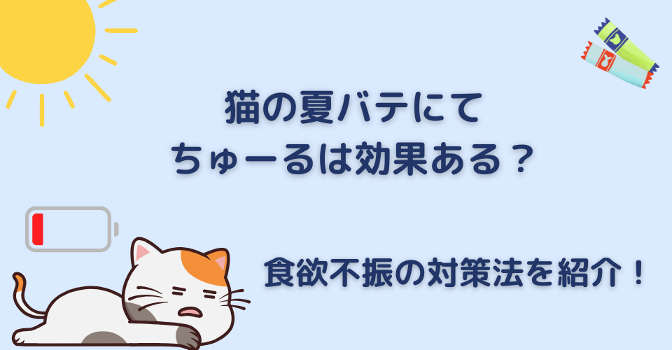 猫の夏バテにチュールは効果ある？